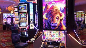 Permainan dealer langsung dan slot di megasloto